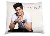Almofada Te vivo